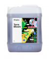 Simplex Terra Bloom купить